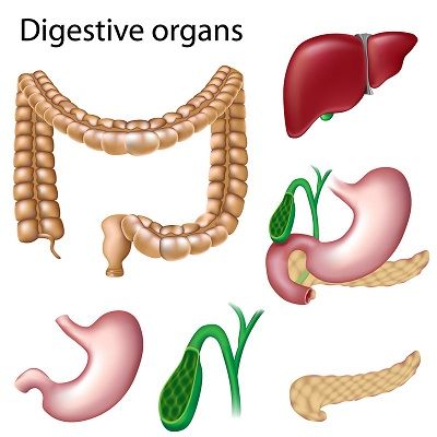Digestive Surgery | Dr. Bruto RANDONE